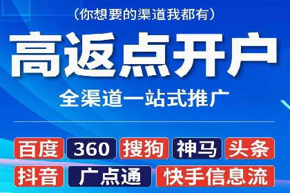 竞价SEM案例分享：行业霸主崛起之路