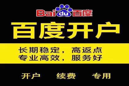 SEM百度竞价案例：如何实现快速引流